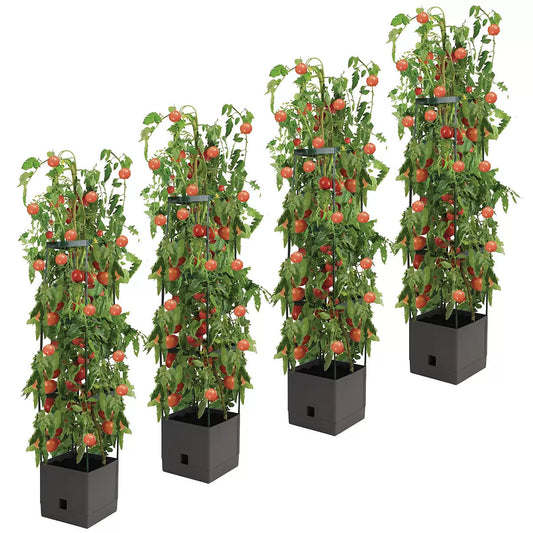 Tomato Tower With 3 Tier Frame 4 x Pack