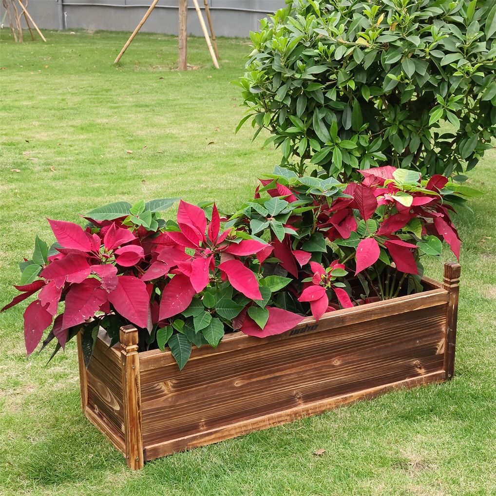 Medium Raised Garden Bed 60x30x33cm Wooden Planter Box - Home & Garden > Garden Beds > Garden Beds & Planters