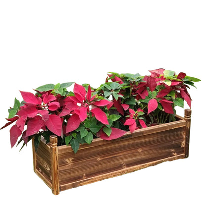 Medium Raised Garden Bed 60x30x33cm Wooden Planter Box - Home & Garden > Garden Beds > Garden Beds & Planters