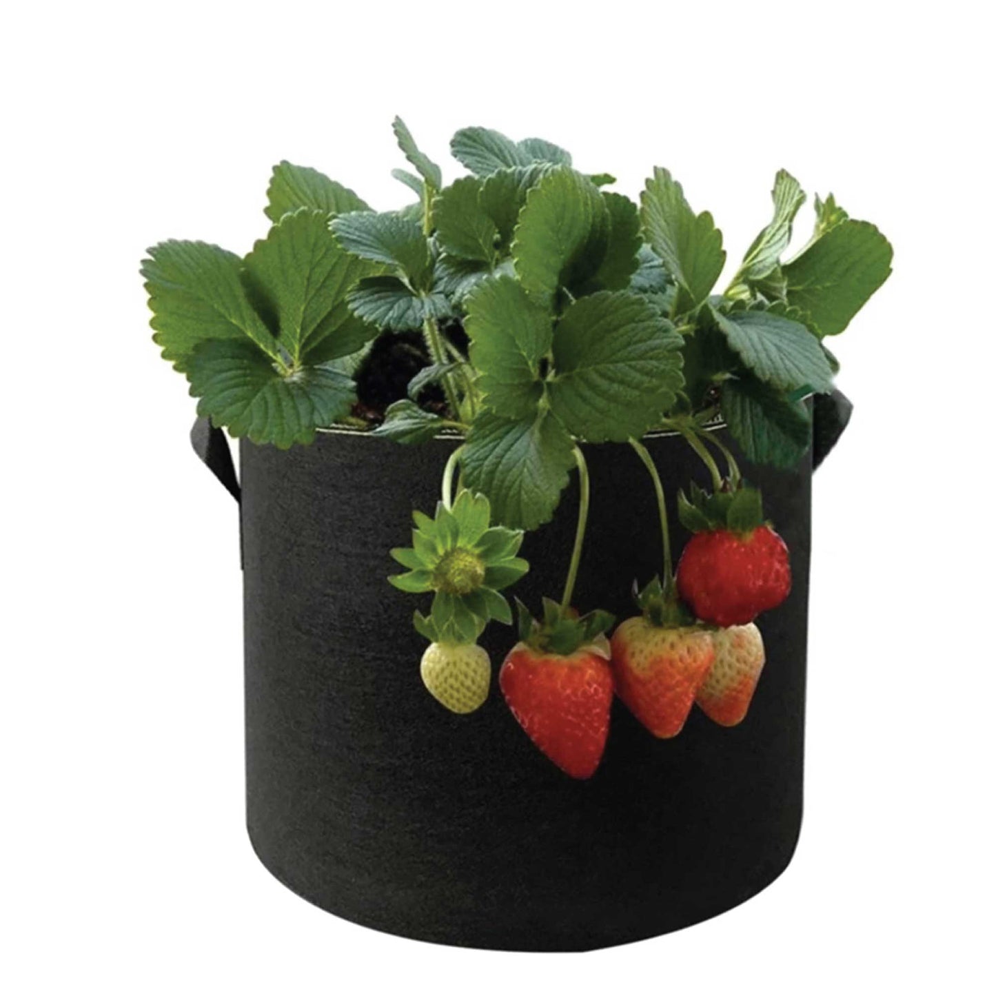 6 Pck 38L Fabric Flower Pots - Garden Planter Bags Black - Home & Garden > Garden Beds > Garden Beds & Planters