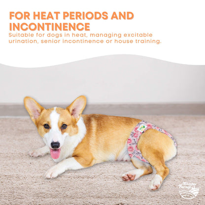 Rooster Farms Female Dog Diapers Medium 3Pk - Washable Reusable Nappy Hook/Loop