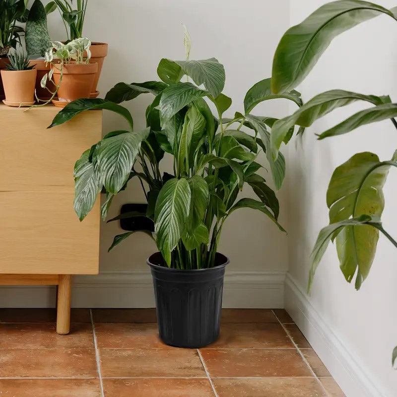 100PCS Black 1 Gallon Soft Plastic Planter Grow Bags - Home & Garden > Garden Beds > Grow Bags